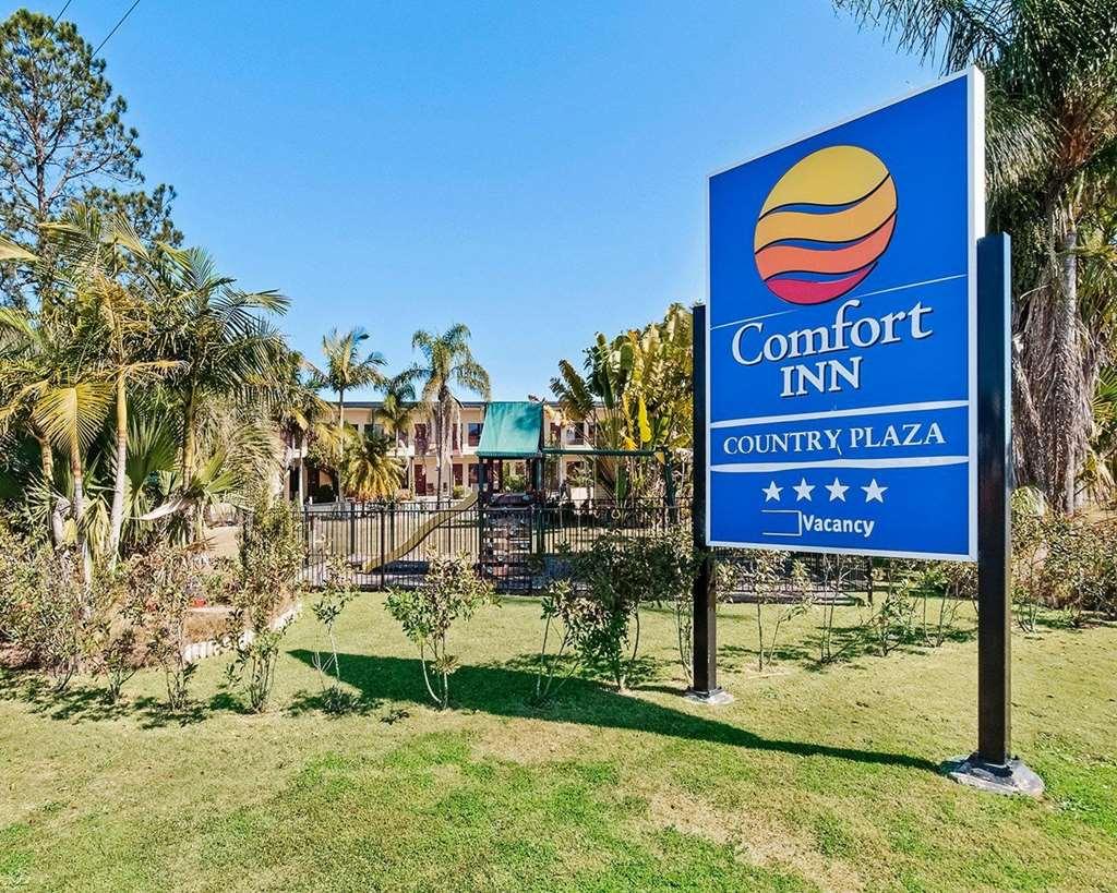 Country Plaza Taree